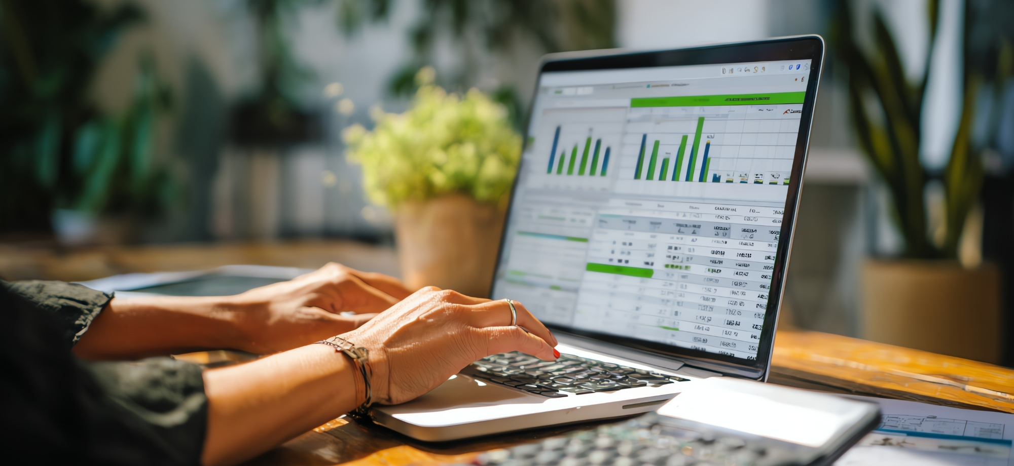 Accounting & Bookkeeping Services UAE - PrimeCare